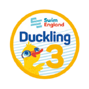 Duckling 3