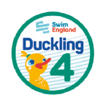 Duckling 4