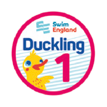 Duckling 1